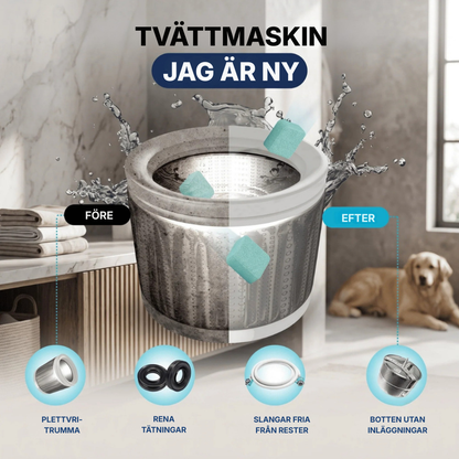 TvättFrisk™ | Fräschare tvätt börjar med en renare tvättmaskin