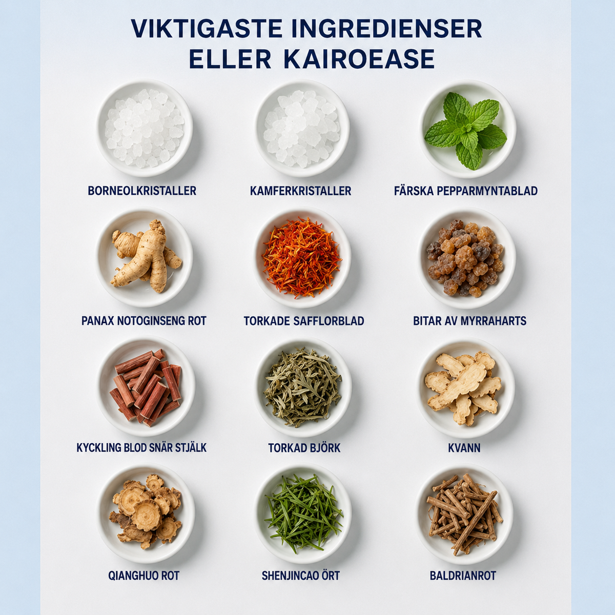 KairoEase™ | Ett örtplåster med riktad verkan för smidigare rörelser under dagen