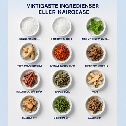 KairoEase™ | Ett örtplåster med riktad verkan för smidigare rörelser under dagen