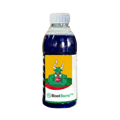 SUPERERBJUDANDE | RootBurn™ ogräsmedel | Förstör envisa ogräs – synligt inom 24 timmar!